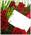 carte rose vide